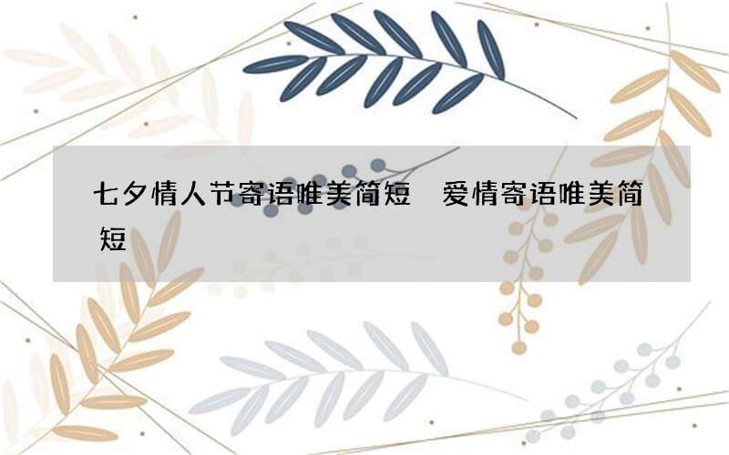 七夕情人节寄语唯美简短 爱情寄语唯美简短